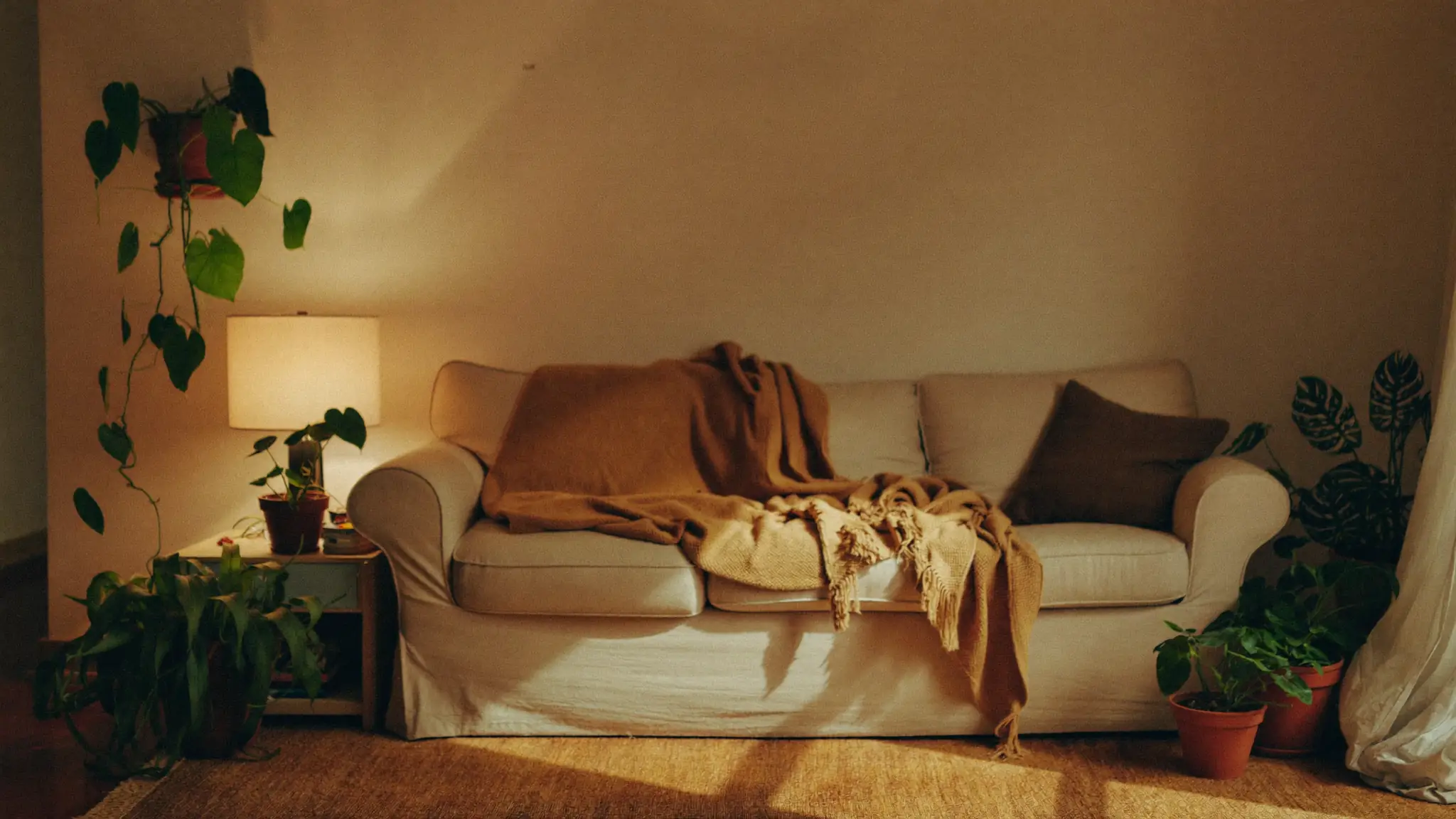 A warm, lived-in apartment living room with a sofa, throw blanket and houseplants in soft evening light.