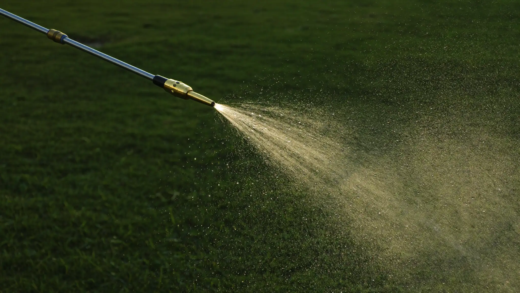Close-up of a pest control sprayer wand and nozzle above green grass in morning light