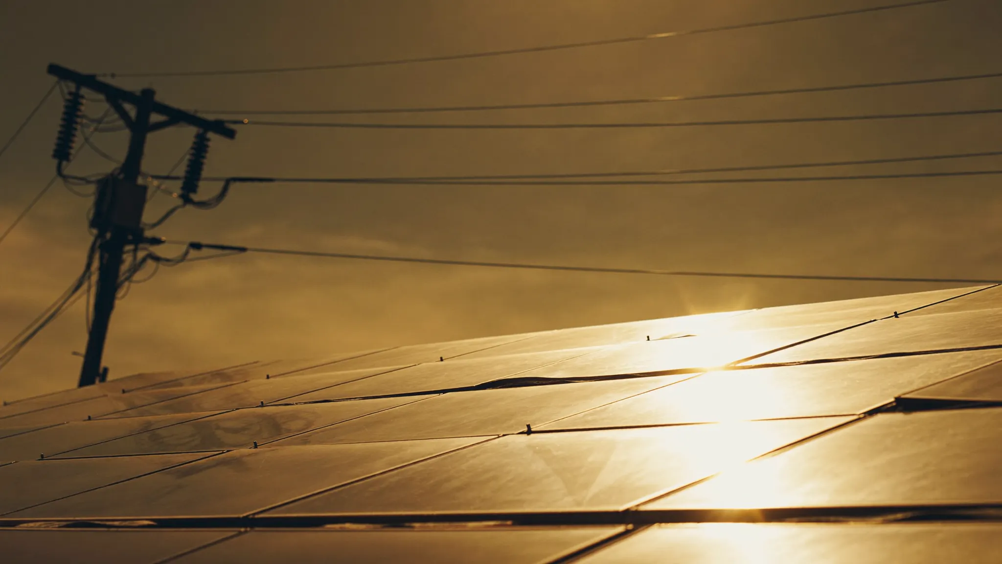 Solar panels on a residential rooftop at golden hour with utility power lines visible in the background.
