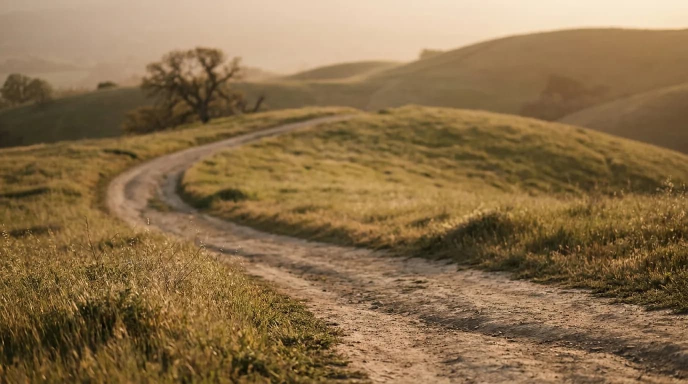 A winding path climbing a grassy hill at golden hour, a metaphor for a new sales rep's ramp.